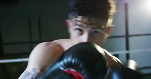 Video Van Boxing Man — Stockvideo