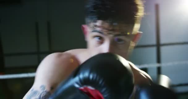 Vidéo Boxe Homme — Video