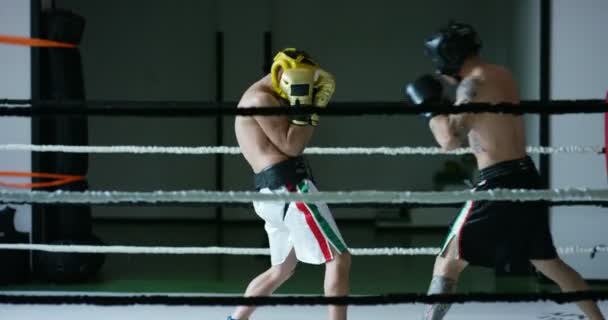 Video Due Pugili Professionisti Che Combattono Allenano Sul Ring — Video Stock