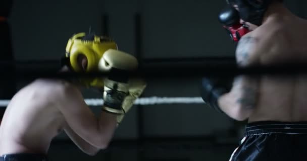 Dos Boxeadores Profesionales Luchando Entrenando Ring Video Cámara Lenta — Vídeos de Stock