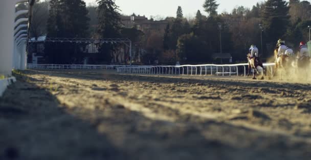 Milan Janv 2017 Circuit Hippique Concept Chevaux Course Jeux Argent — Video