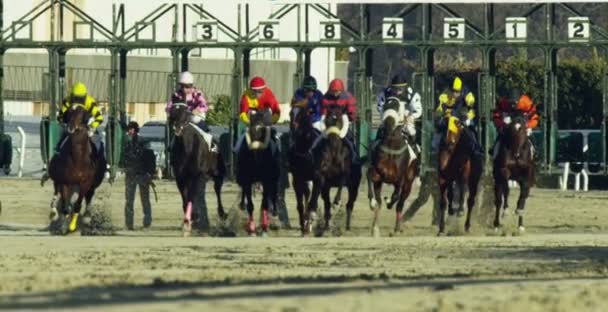 Milão Janeiro 2017 Pista Corridas Cavalos Conceito Cavalos Corrida Jogos — Vídeo de Stock