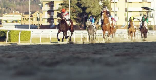 Μιλάνο Δεκ 2017 Ιπποδρομίας Έννοια Άλογα Κούρσας Τυχερά Παιχνίδια — Αρχείο Βίντεο