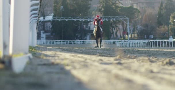 Milão Janeiro 2017 Pista Corridas Cavalos Conceito Cavalos Corrida Jogos — Vídeo de Stock