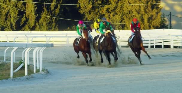 Milão Janeiro 2017 Pista Corridas Cavalos Conceito Cavalos Corrida Jogos — Vídeo de Stock