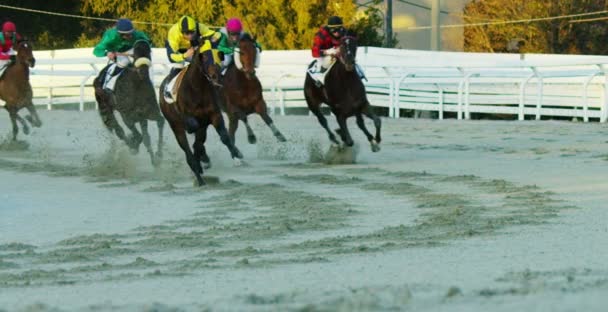 Lóversenypálya, Hippodrome futópálya lovakkal és lovasokkal, lassított videó
