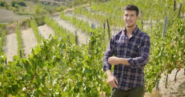 수확에 이탈리아의 유기농 바이오 — 비디오