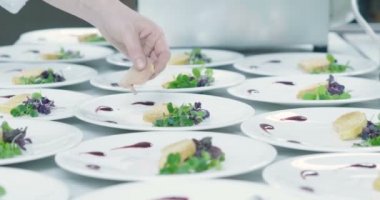 yordamlar, mühürler, hazırlık kavram zerafeti ve lüks İtalyan gıda yemekler ve Restoran, yemek tedarik