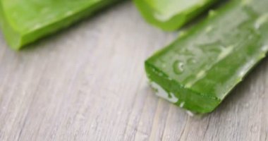 Aloe vera 'nın bileşimi. Güzellik kremi kavramı aloe, doğal tıp ve vücut bakımından türemiştir. Terapi özellikleri, kaldırma, gençleştirme ve doğa