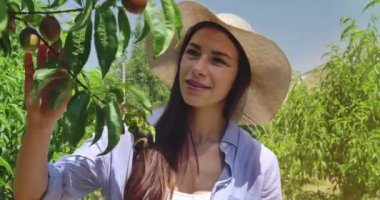 Güzel bir kız bir hasır şapka ve giymiş pembe lastik eldiven, bir sera içinde bir tablet ile çalışma. Konsept: biyolojik ürünler, doğal ürünler, taze, lezzetli, meyve, sebze, su bitkiler büyümek