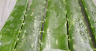 Aloe vera 'nın bileşimi. Güzellik kremi kavramı aloe, doğal tıp ve vücut bakımından türemiştir. Terapi özellikleri, kaldırma, gençleştirme ve doğa