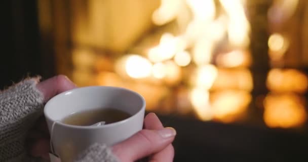 Queda Fria Noite Inverno Pessoas Descansar Junto Lareira Com Cobertor — Vídeo de Stock