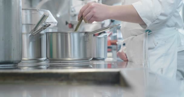 Cuisinier Dans Une Cuisine Professionnelle Cuisine Nourriture Pour Ses Clients — Video