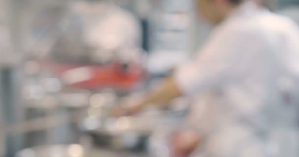 Несосредоточенный Разговор Шеф Поварами Профессиональной Кухне Готовящими Блюда Своего Ресторана — стоковое видео