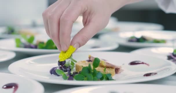 Catering Procedures Seals Preparation Dishes Restaurants Concept Elegance Luxury Italian — Stock Video