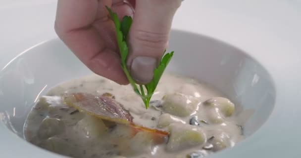 Процедуры Питания Тюлени Приготовление Блюд Ресторанов Концепция Элегантности Роскоши Итальянской — стоковое видео