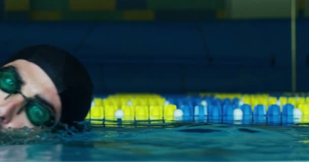 Nadador Especialista Treina Piscina Antes Uma Corrida Natação Mantém Você — Vídeo de Stock