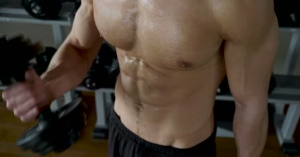 ジムで重いダンベルで上半身裸の筋肉男のビデオ — ストック動画