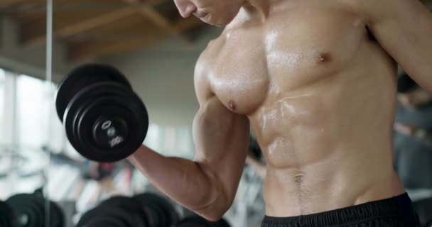 Video Muscular Shirtless Man Heavy Dumbbell Gym — Stock Video