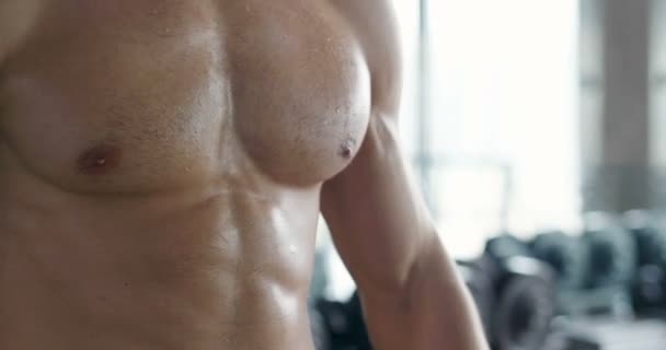 ジムで重いダンベルで上半身裸の筋肉男のビデオ — ストック動画