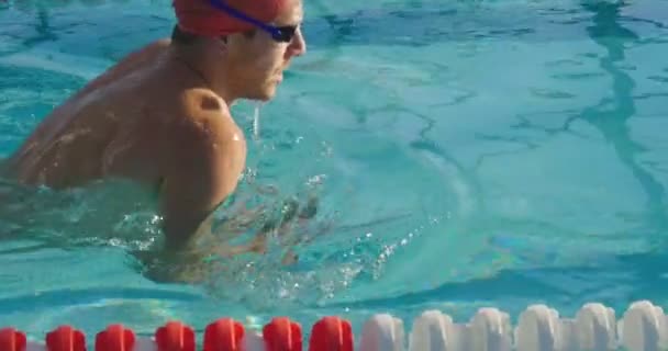 Nadador Experto Entrena Piscina Antes Una Carrera Natación Mantiene Forma — Vídeos de Stock