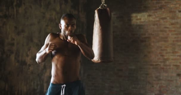 ハンサムな上半身裸筋肉ボクサー アフリカ男ボクシングとカメラ目線のスロー モーション ビデオ — ストック動画