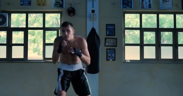 Giorno Nella Palestra Pugilato Boxer Professionisti Sono Lotta Formazione Guanti — Video Stock