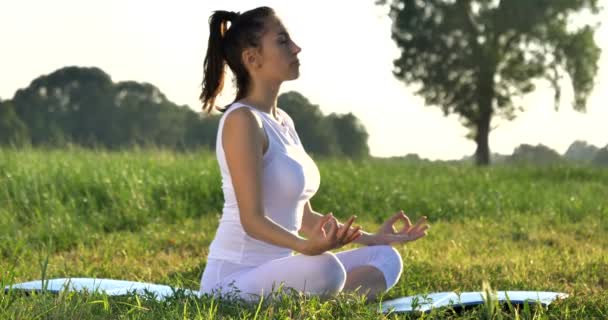 Video Woman Doing Yoga Outdoors Green Grass Meadow Meditation Pose — Stock Video