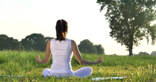 Atrás Ver Video Mujer Haciendo Yoga Aire Libre Pradera Hierba — Vídeos de Stock