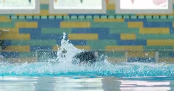 Nadador Experto Entrena Piscina Antes Una Carrera Natación Mantiene Forma — Vídeo de stock