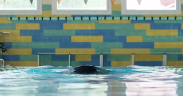 plavec vlaky v bazénu před závodem, plavání udržuje fit a je jedním ze sportů, ve kterých budou trénovat všechny svaly těla.