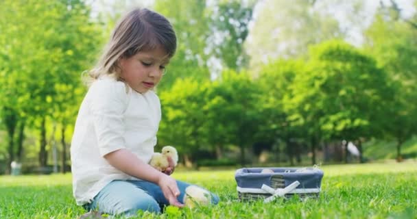 Melhores Momentos Vida Meninas Doces Brinca Parque Com Galinhas Pequenas — Vídeo de Stock