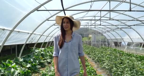 Powolny Ruch Uśmiechnięty Rolnik Kobieta Chodzenie Rolnictwie Zielony Dom Uprawy — Wideo stockowe