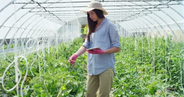 Una Hermosa Chica Con Sombrero Paja Con Guantes Goma Rosa — Vídeos de Stock