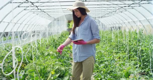 Krásná dívka v slaměný klobouk a nosí růžové gumové rukavice, práce s tabletem, ve skleníku. Koncepce: bio produkty, přírodní produkty, čerstvé, lahodné, ovoce, zeleniny, pěstování vodních rostlin