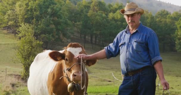 Granjero Cría Cría Vaca Naturaleza Acuerdo Con Las Tradiciones Antiguas — Vídeo de stock