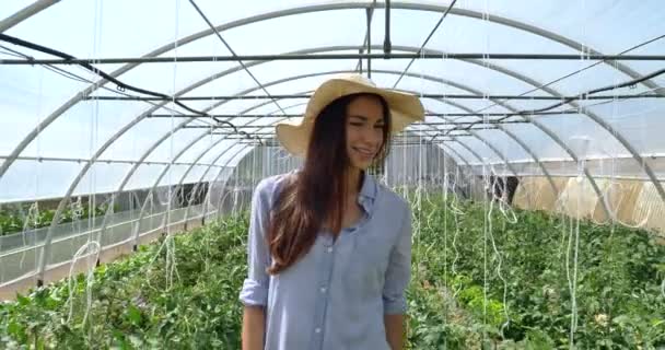 Vídeo Mulher Agricultor Sorrindo Andando Casa Verde Agrícola Com Plantas — Vídeo de Stock