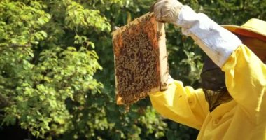 Arıcı arılar, peteğin, tatlım, bir koruyucu arıcı'nın canavar bir sürü sonra görünüyor. Konsept: arı kovanı, saf doğal ürün, faydalı ürün, sarı altın bal, arı, çalışkan sürüsü.