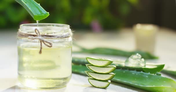 Composição Aloe Vera Conceito Creme Beleza Derivado Aloés Medicina Natural — Vídeo de Stock