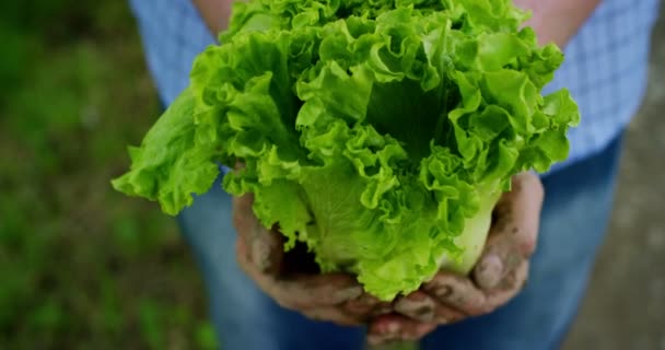 Retrato Jovem Agricultor Feliz Segurando Vegetais Frescos Uma Cesta Contexto — Vídeo de Stock