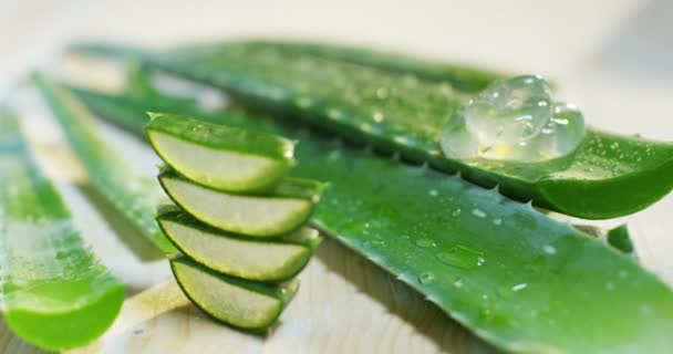 Zusammensetzung Der Aloe Vera Konzept Der Schönheitscreme Aus Aloe Natürliche — Stockvideo