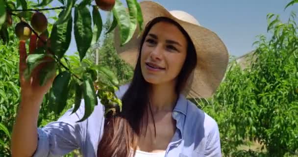 Una Hermosa Chica Con Sombrero Paja Mira Plantación Día Soleado — Vídeos de Stock