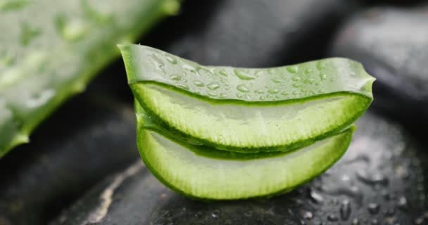 Komposisi Aloe Vera Konsep Krim Kecantikan Berasal Dari Aloe Obat — Stok Video