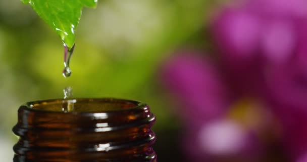 Mistura Óleos Essenciais Com Gotas Água Aromas Aromas Aromaterapia Para — Vídeo de Stock