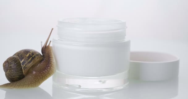 Close Snail Streaking Jar Skin Cream Concept Moisturizing Cream Perfect — Stock Video