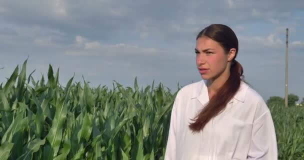 農家の女性が屋外のプランテーションでトウモロコシの植物をチェックし デジタルタブレットを保持するスローモーションビデオ — ストック動画
