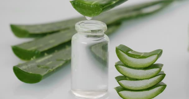 Composição Aloe Vera Conceito Creme Beleza Derivado Aloés Medicina Natural — Vídeo de Stock