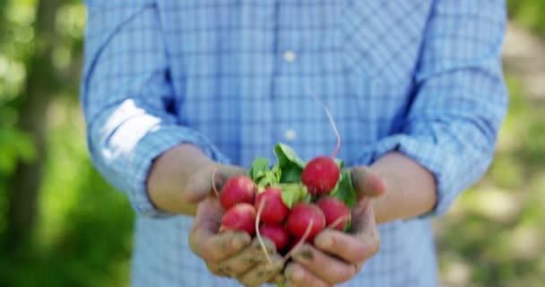 Retrato Jovem Agricultor Feliz Segurando Vegetais Frescos Uma Cesta Contexto — Vídeo de Stock