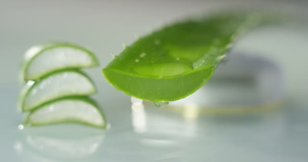 芦荟的组成 美容霜的概念来源于芦荟 天然药物和对身体的呵护 治疗礼仪 年轻化和自然 — 图库视频影像