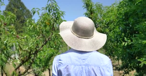 Una Hermosa Chica Con Sombrero Paja Mira Plantación Día Soleado — Vídeos de Stock